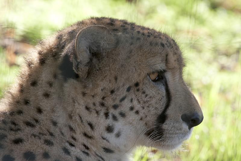 Cjp_2011_08_02_171034 (2).jpg